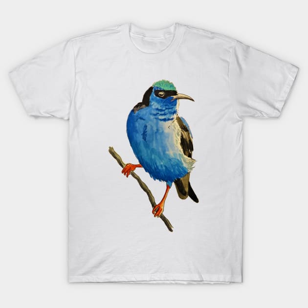 Red Legged Honeycreeper T-Shirt by julyperson